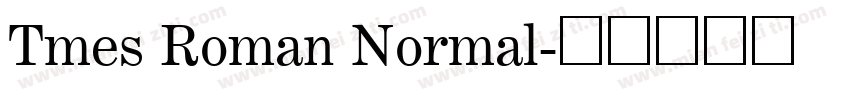 Tmes Roman Normal字体转换